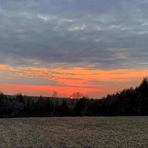 Meet your Posher, Dillynn